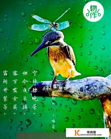 什么软件字体最多又好看