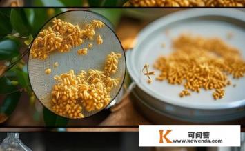 新鲜桂花怎么处理，新鲜桂花处理小技巧，如何妥善保存？