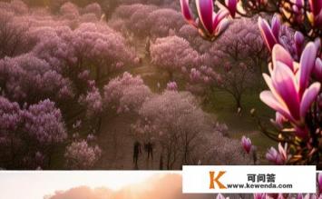 武汉木兰花谷游玩时间，武汉木兰花谷最佳游玩时长？