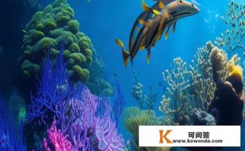 红星石斑鱼是什么，红星石斑鱼的特性及种类是什么？