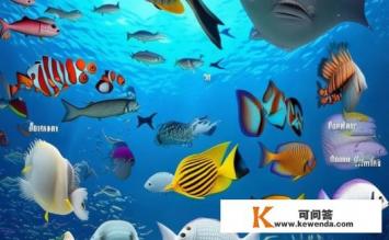 鱼的种类及名称，鱼的种类与名称有哪些？