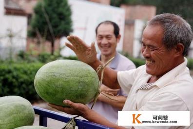 挑选西瓜的方法（怎么挑选西瓜）