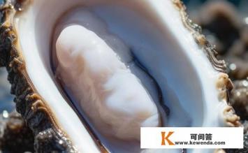 什么叫牡蛎，牡蛎的定义是什么？