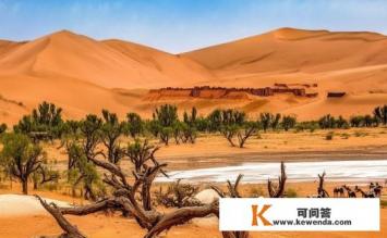 额济纳旗有什么好玩的地方？哪些景点必去，额济纳旗游玩攻略，哪些景点必去，好玩的地方有哪些？