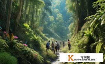 五指山热带雨林游玩攻略，五指山热带雨林探险指南，游玩攻略全解析
