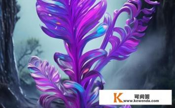 大茄什么意思，大茄的含义是什么？