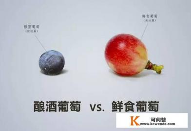 自酿葡萄酒的危害有哪些