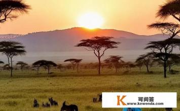 2021年12月非洲适合旅游吗，2021年12月非洲旅行是否适宜？