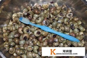 怎么把田螺清洗干净