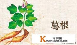 什么是葛根，葛根有什么作用