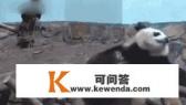 如果老人在小区电梯里被困而导致心脏病发去世，物业该怎么负责