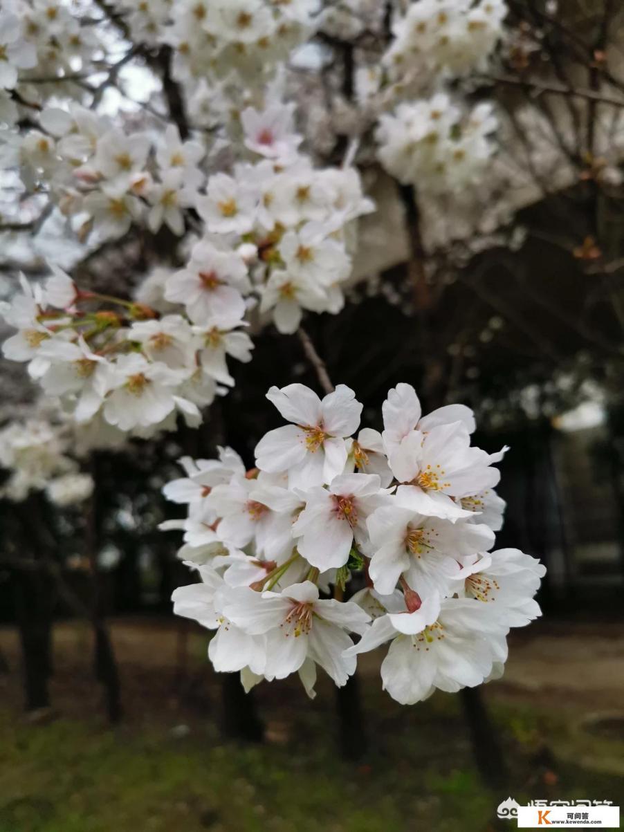3-4月份适合去哪旅游带孩子