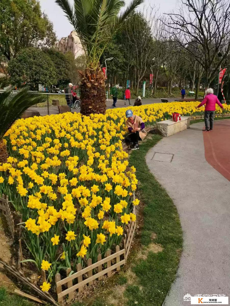 3-4月份适合去哪旅游带孩子