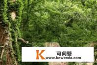 连云港连岛旅游攻略