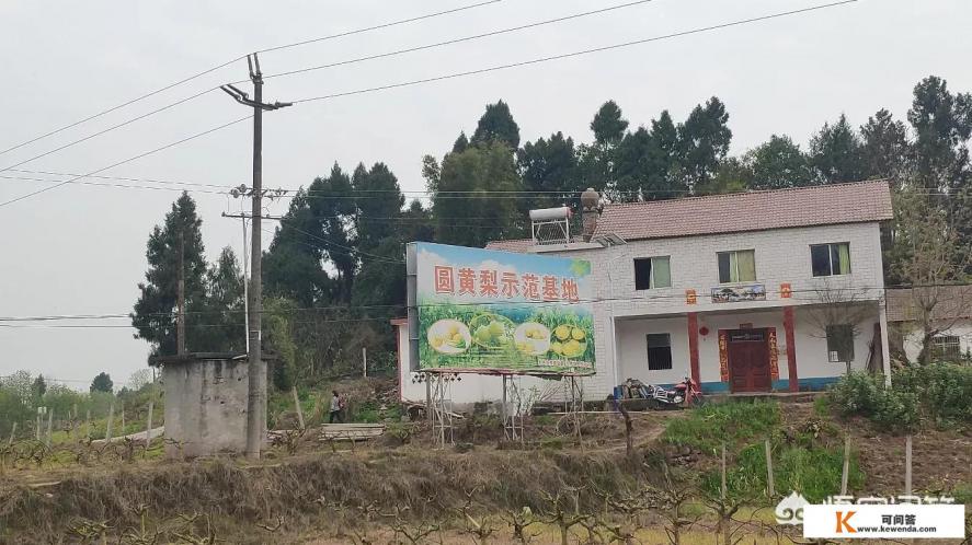 2020年旅游业收入下降的利与弊