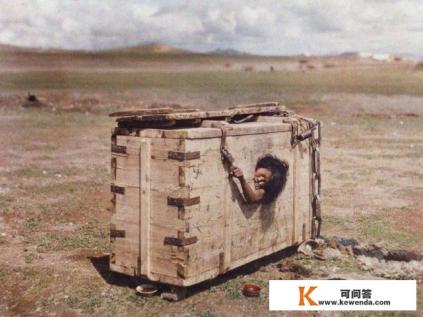 黑夜中一匹孤独的野狼是什么意思