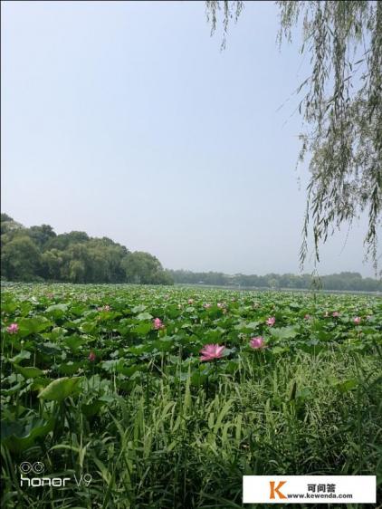 小韭菜坪的旅游攻略