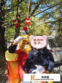 沉醉腾冲银杏村美景，粗心妈妈弄丢儿子, 你怎么看