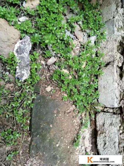 想带父母去旅游，但父母年纪大了，怎么办