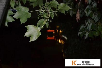想带父母去旅游，但父母年纪大了，怎么办