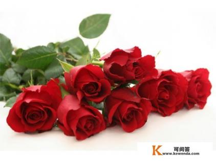 可以写进小说的优美句子有哪些推荐