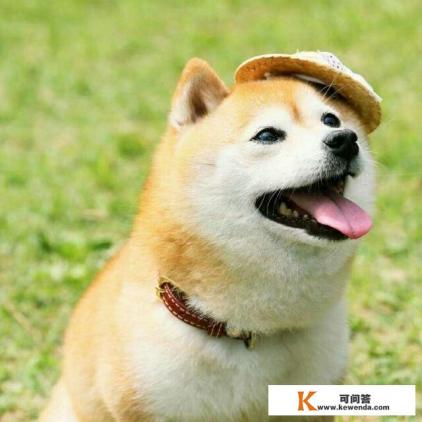 现如今影视作品层出不穷，有哪些影视作品更值得去欣赏观看