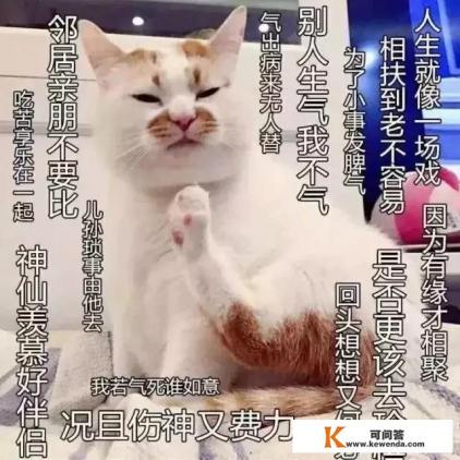 罗大佑的《你的样子》让你想到什么