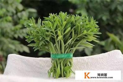 休闲农庄产业如何规划