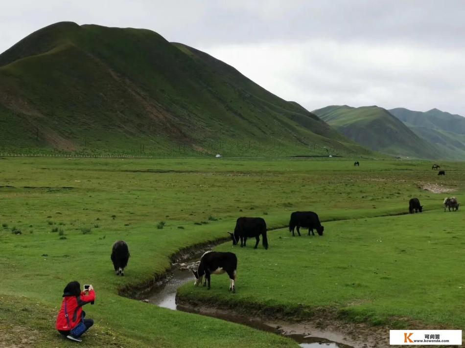 六月份适合去哪里旅游最好6月旅游最佳圣地