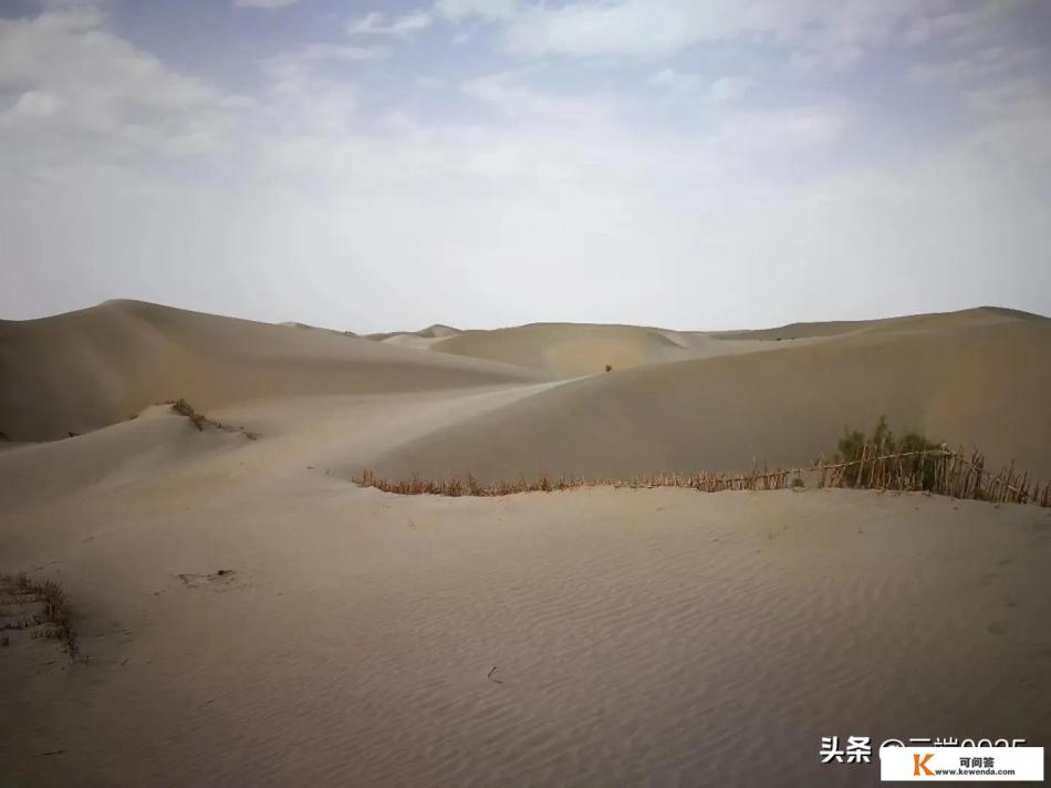 以宁夏为中心，扩展到内蒙中西部，20天自驾游，恳求行程！谢谢