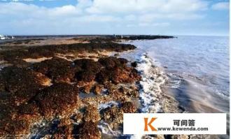 常州旅游商贸3+4管得严吗