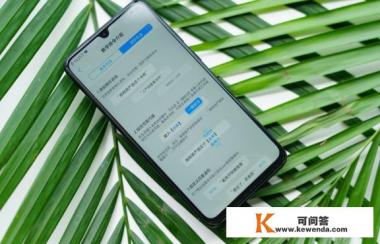 vivoz3参数