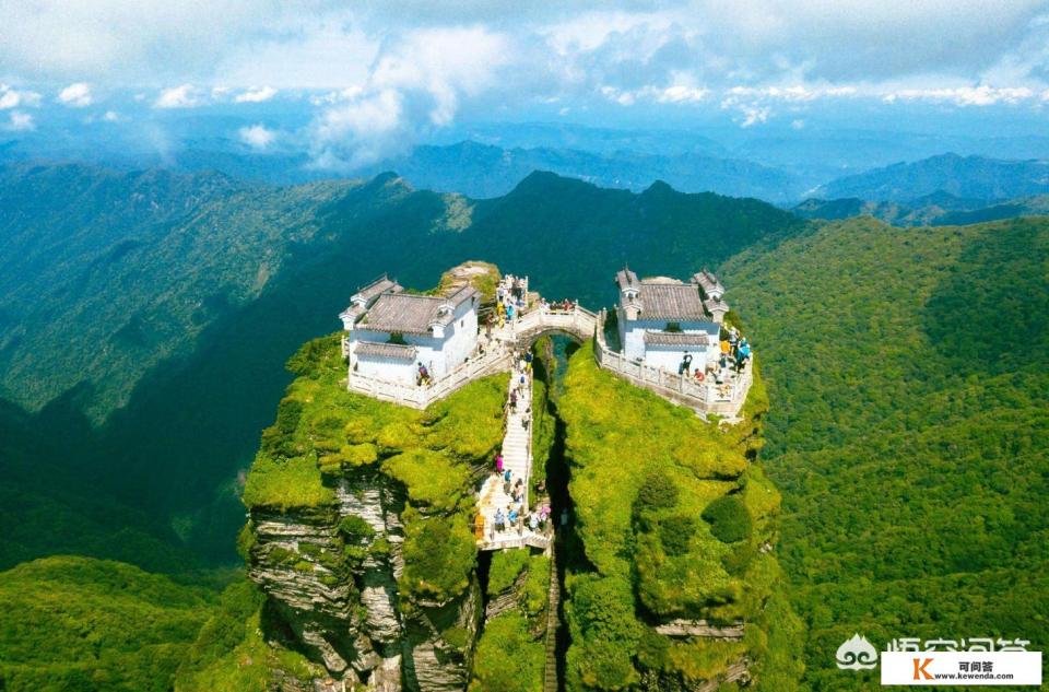 关于林下经济发展旅游业的意见