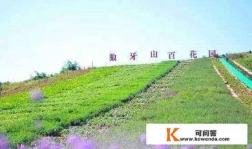 春天踏青旅游景点