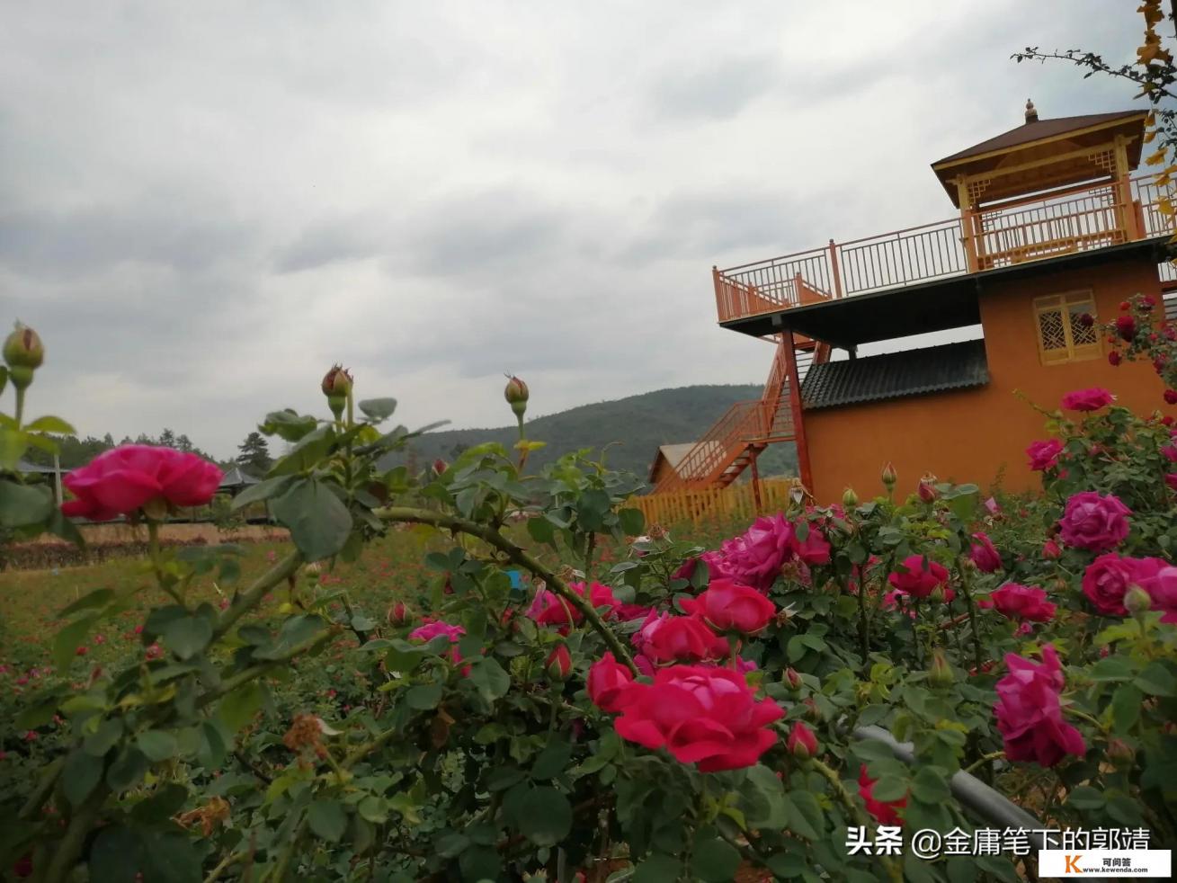 旅游专业未来的岗位有哪些