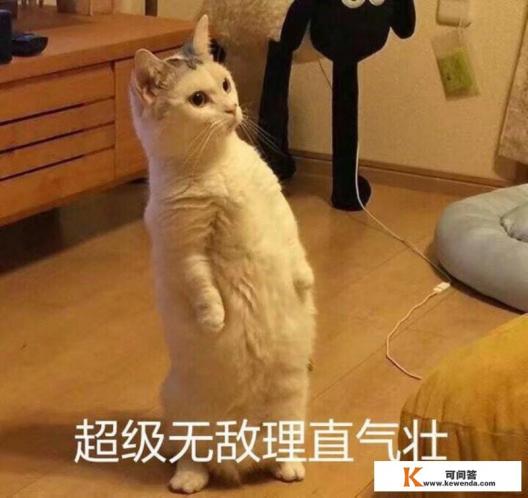 什么时候去芬兰旅游最好，芬兰旅游最佳季节