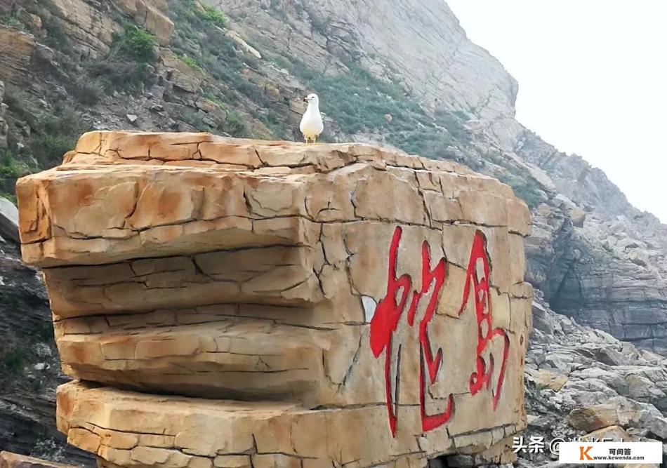 大连蛇岛有什么来历，上面蛇真的很多吗