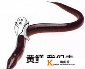 在抖音直播电影如何不侵权
