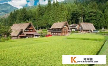 关于美丽乡村的标语有哪些
