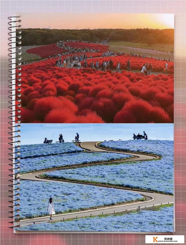 日本自由行7天大概要花费多少