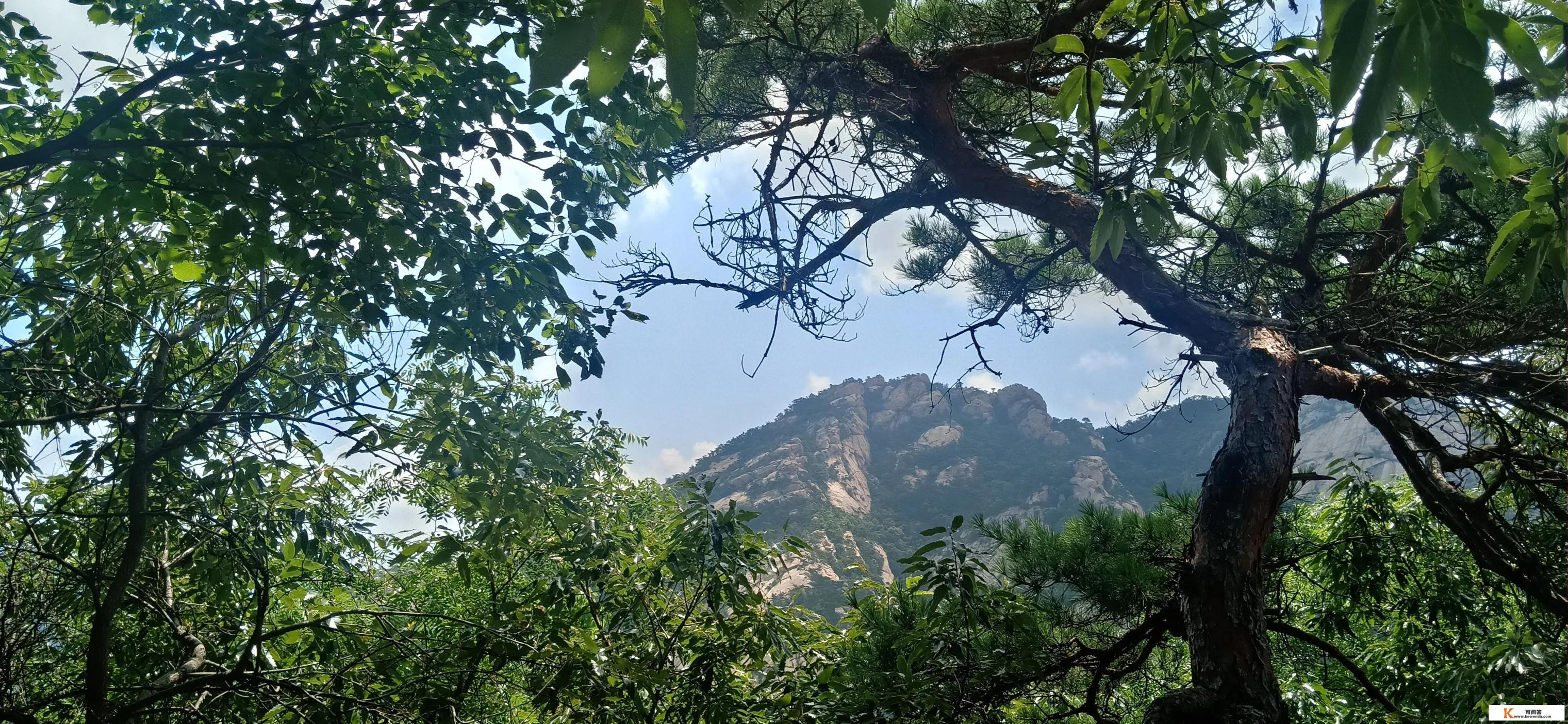 我是高三男生，父亲出轨母亲闹离婚，我无心学习想退学，怎么办
