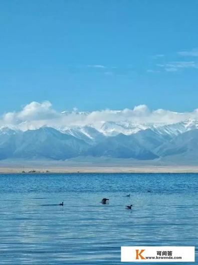 现代旅游主要分为几种形式？现代旅游主要分为