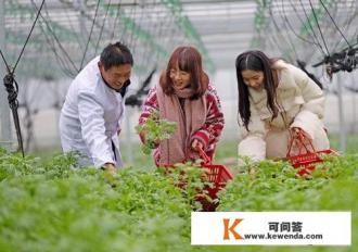 农业旅游的介绍