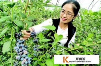农业旅游的介绍