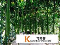 农业旅游的介绍