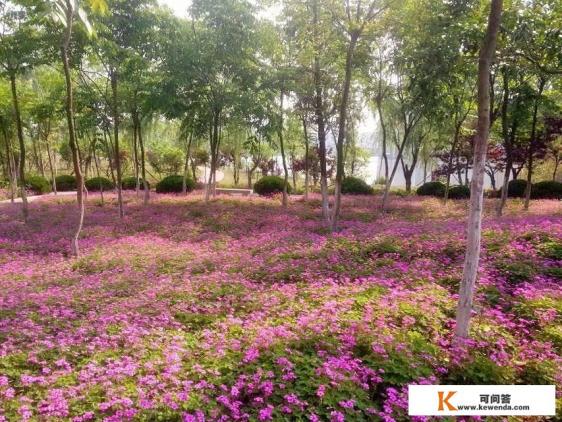 南京牛首山文化旅游集团有限公司介绍