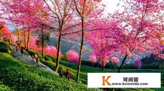 春天踏青旅游景点