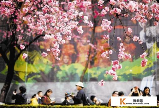 春天踏青旅游景点