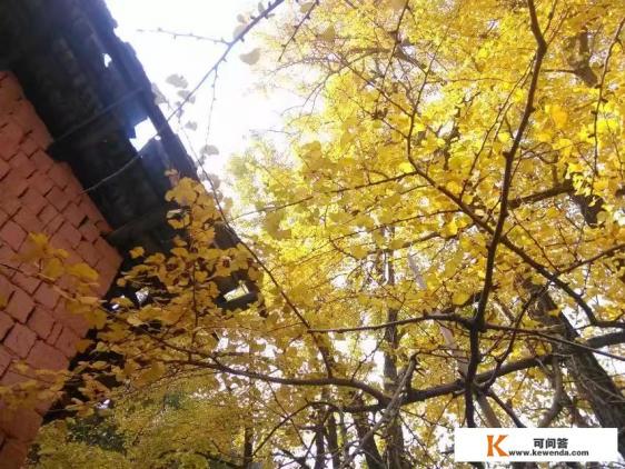 请问南雄看银杏后怎样去丹霞山。有多远？交通方便吗？谢谢