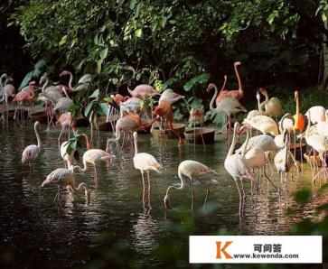 广东旅游年卡198元真的吗